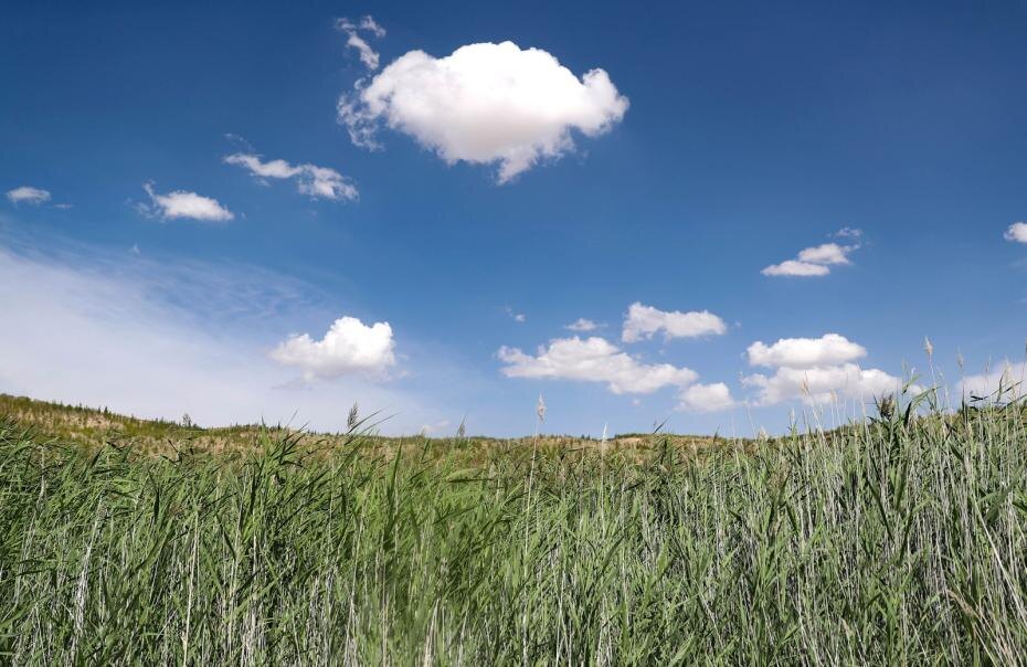    Cfoto/Global Look Press