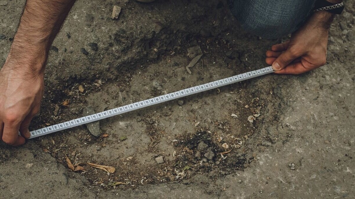     Источник: 1MI