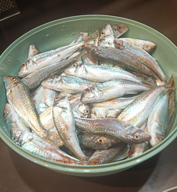 Свежайшая барабулька, только из моря. Анапа 06.25.