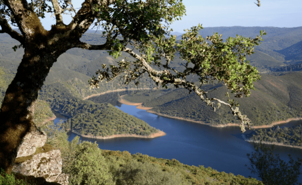 Национальный парк Монфрагюэ