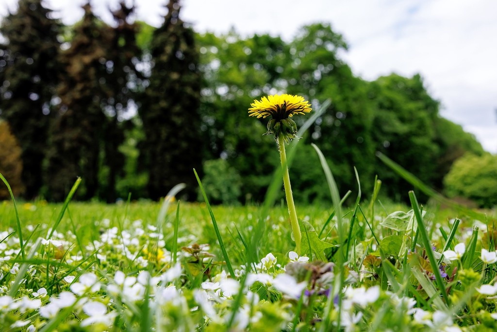    Фото © Дмитрий Дубинский / Абзац