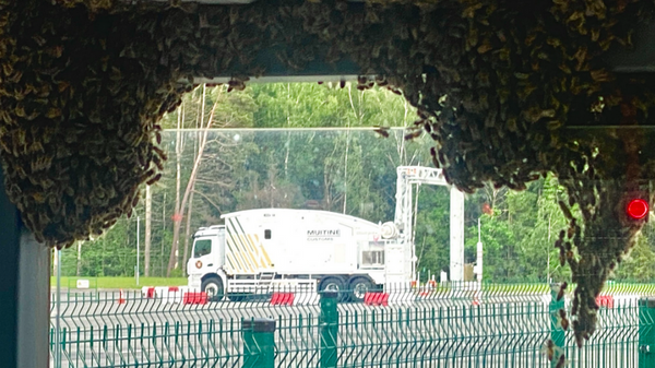    © Photo : Social media page of Lietuvos muitinė