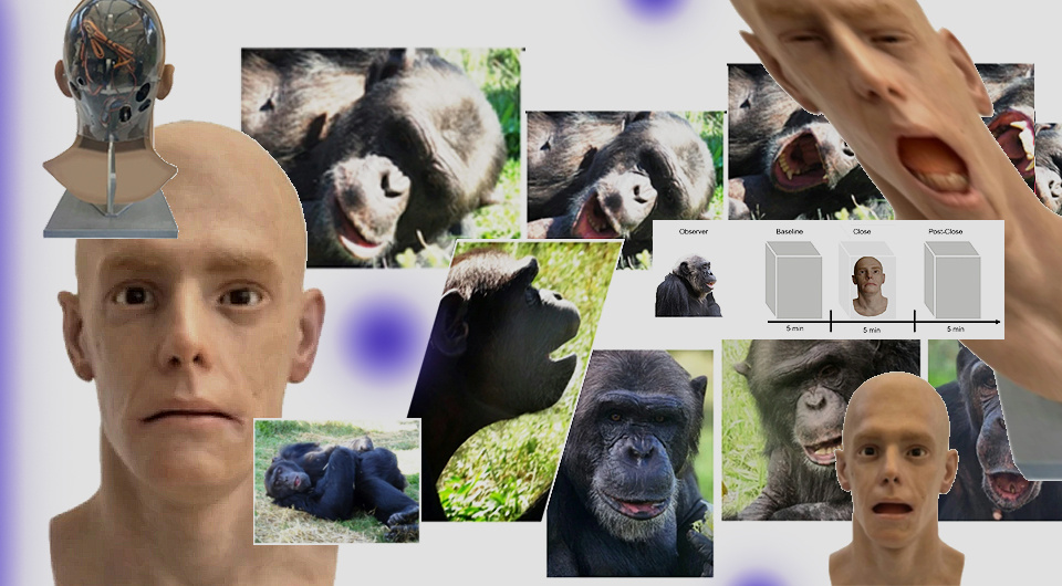   N + 1; R. Joly-Mascheroni et al. / Scientific Reports, 2025