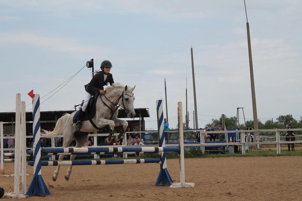     В Орске прошли городские соревнования по конкуру Оренбуржье
📷    В Орске прошли городские соревнования по конкуру Оренбуржье
📷    В Орске прошли городские соревнования по конкуру Оренбуржье
📷    В Орске прошли городские соревнования по конкуру Оренбуржье
📷    В Орске прошли городские соревнования по конкуру Оренбуржье
