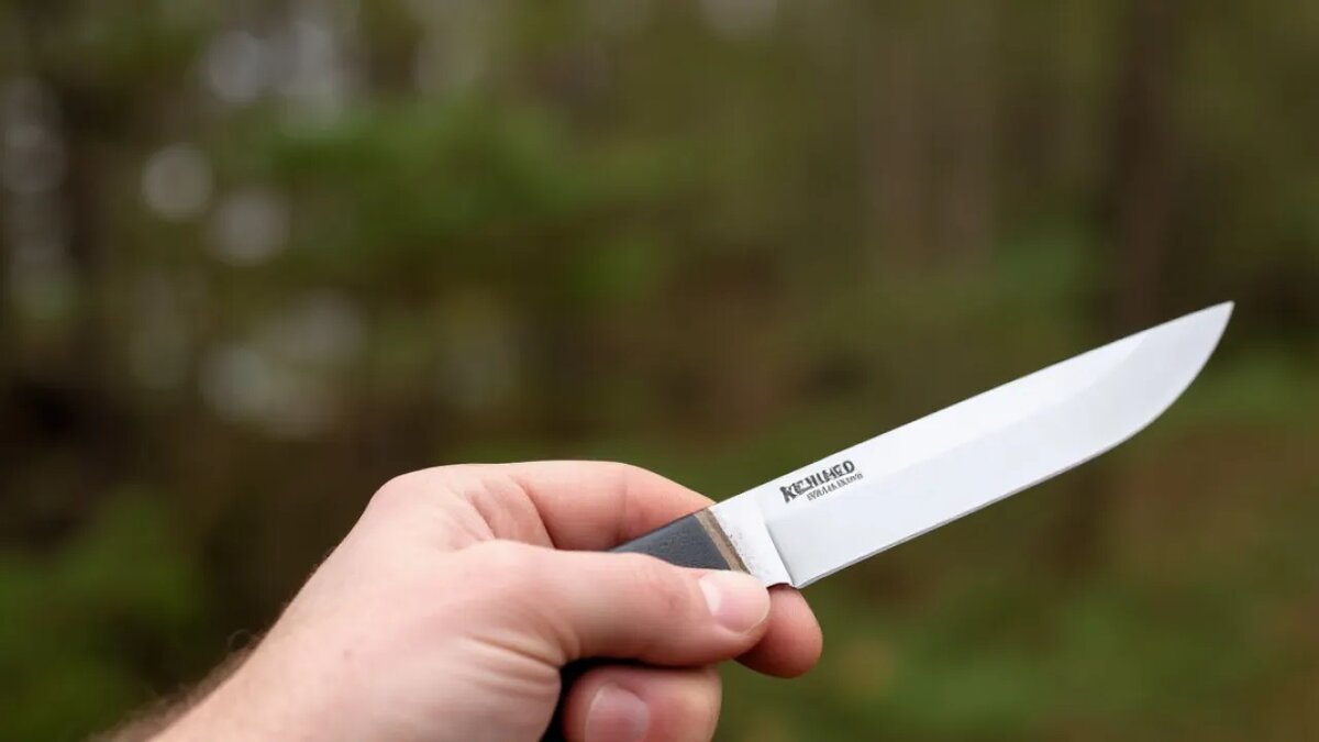    Сгенерировано ИИ