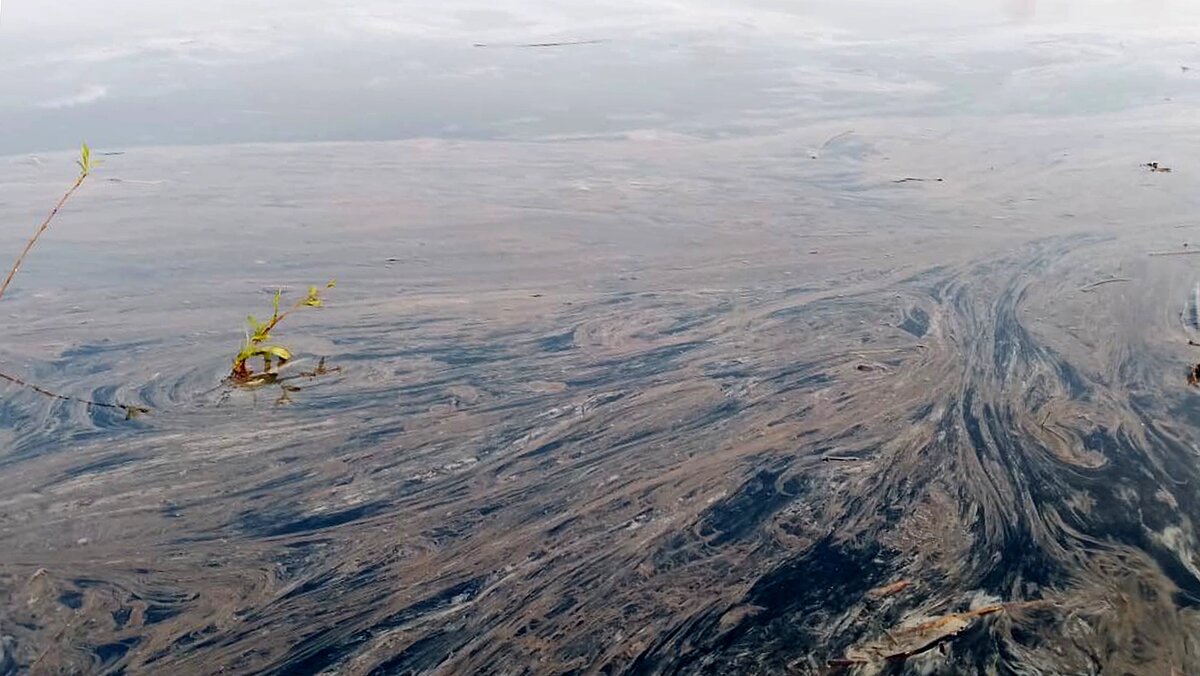   @glavakazach / Telegram