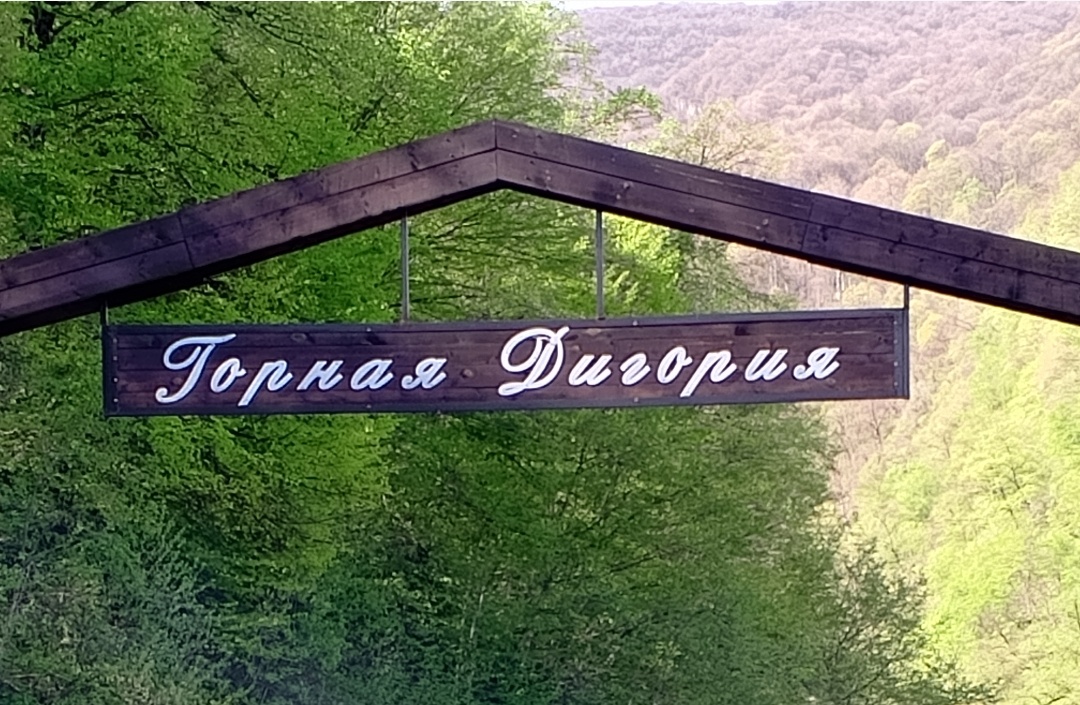 Фото авторов