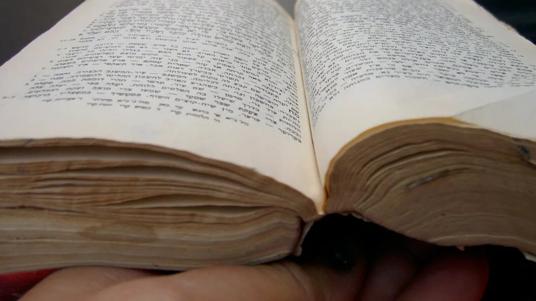    Efi Keren/Russian Look/Globallookpress