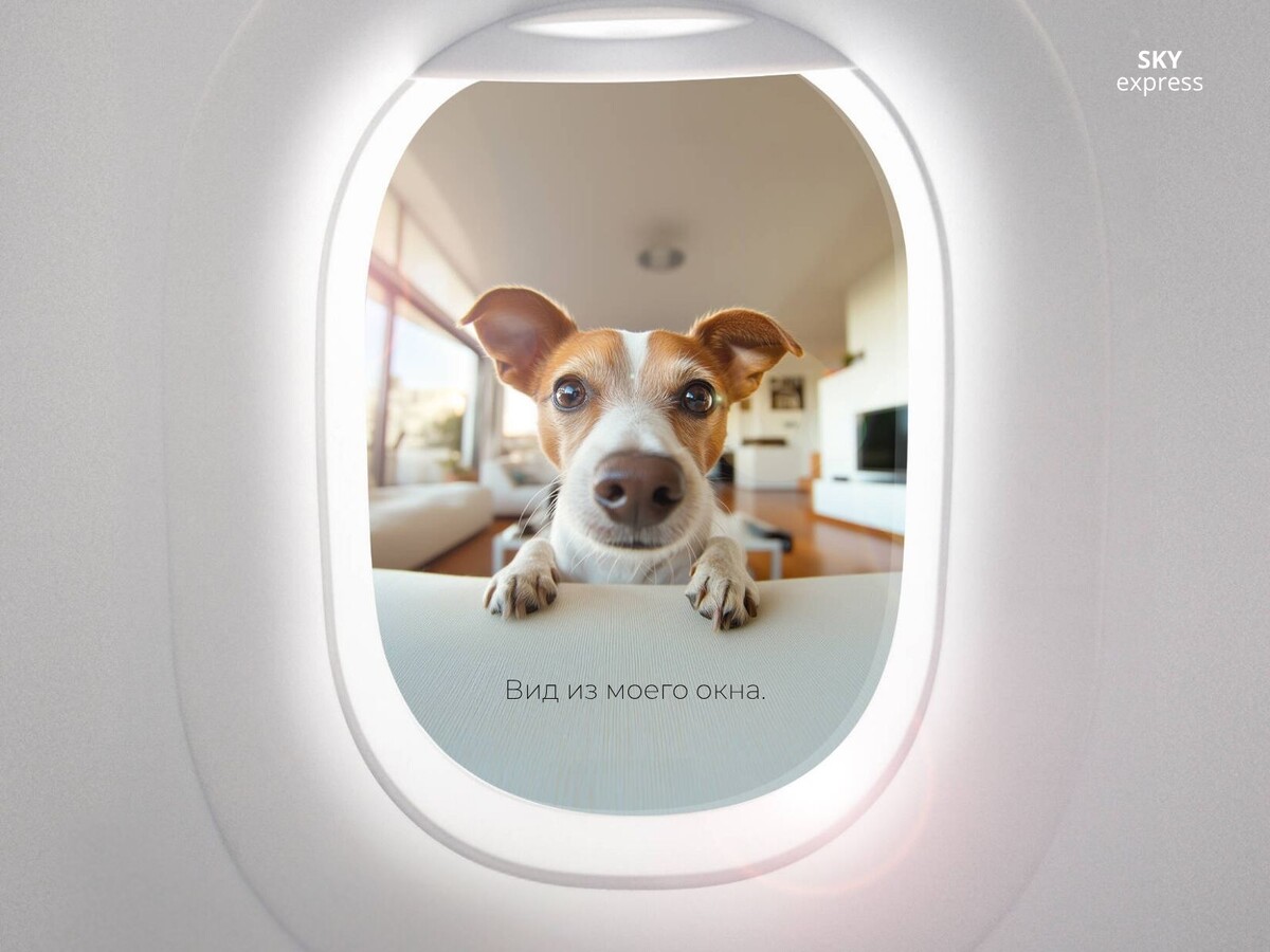 SKY express / View with a room / Agency: The Weekend