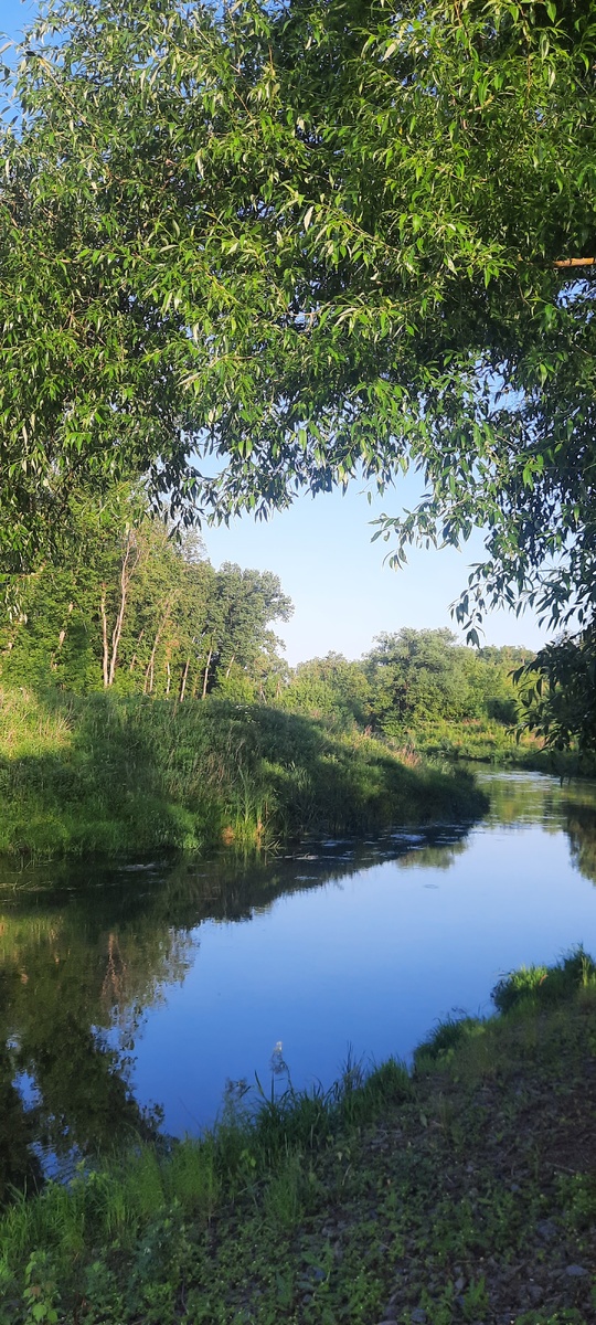 Фото мое. Речка Кривец, 2025 год.
