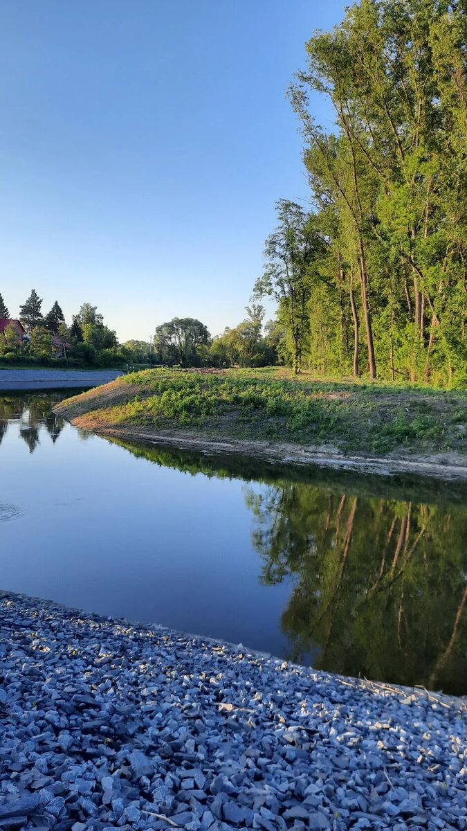 Фото мое. Речка Кривец, 2022 год. Берега очищены от зарослей, укреплены специальной "сеткой" и засыпаны щебнем. Листайте дальше.