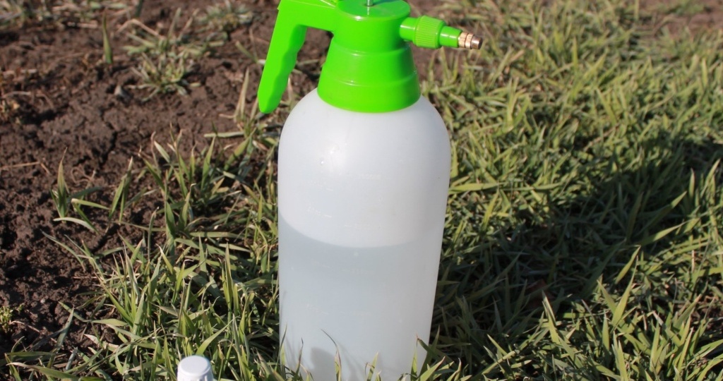 Как правильно приготовить раствор для опрыскивания сада