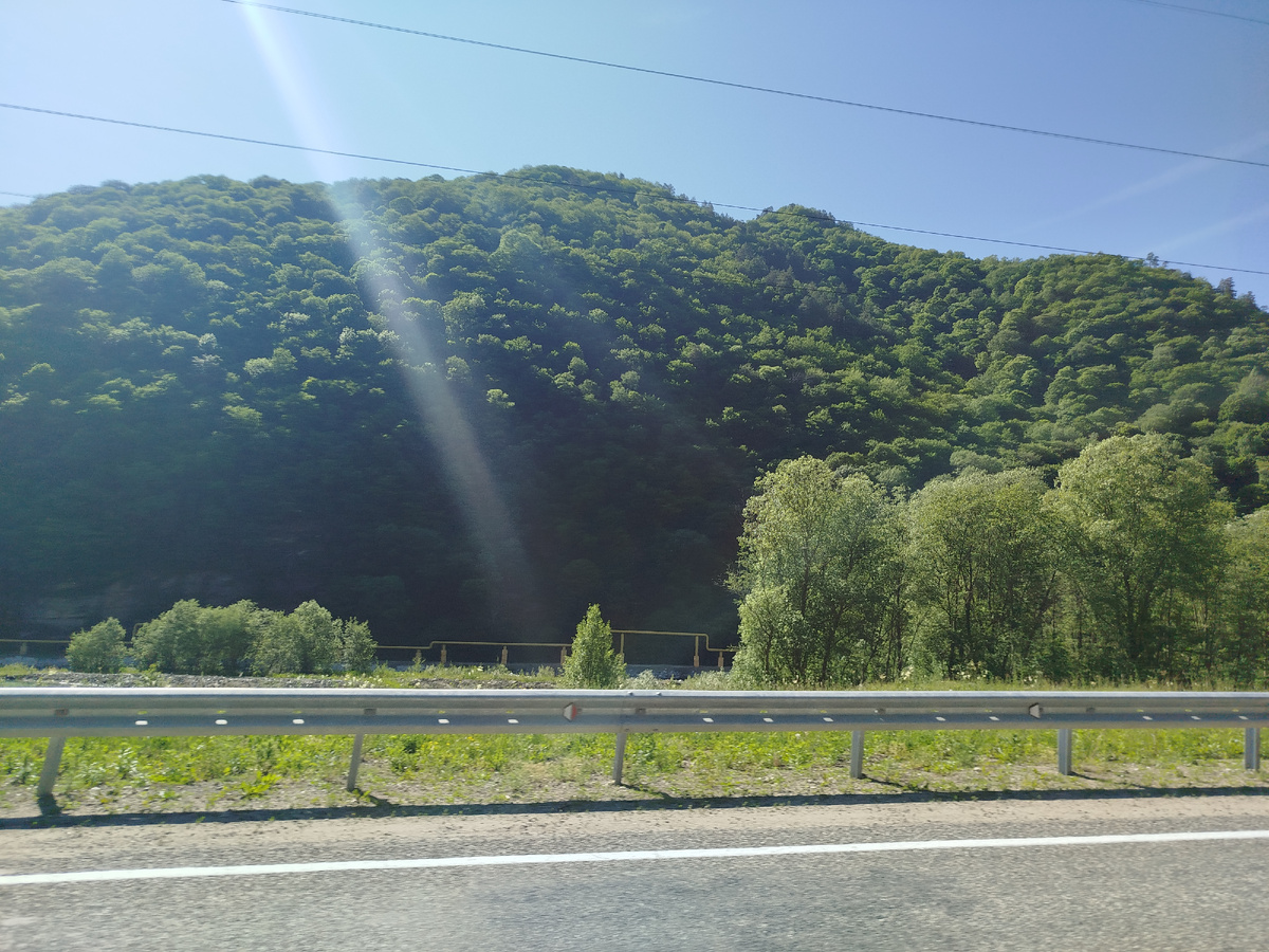 Природа кчр