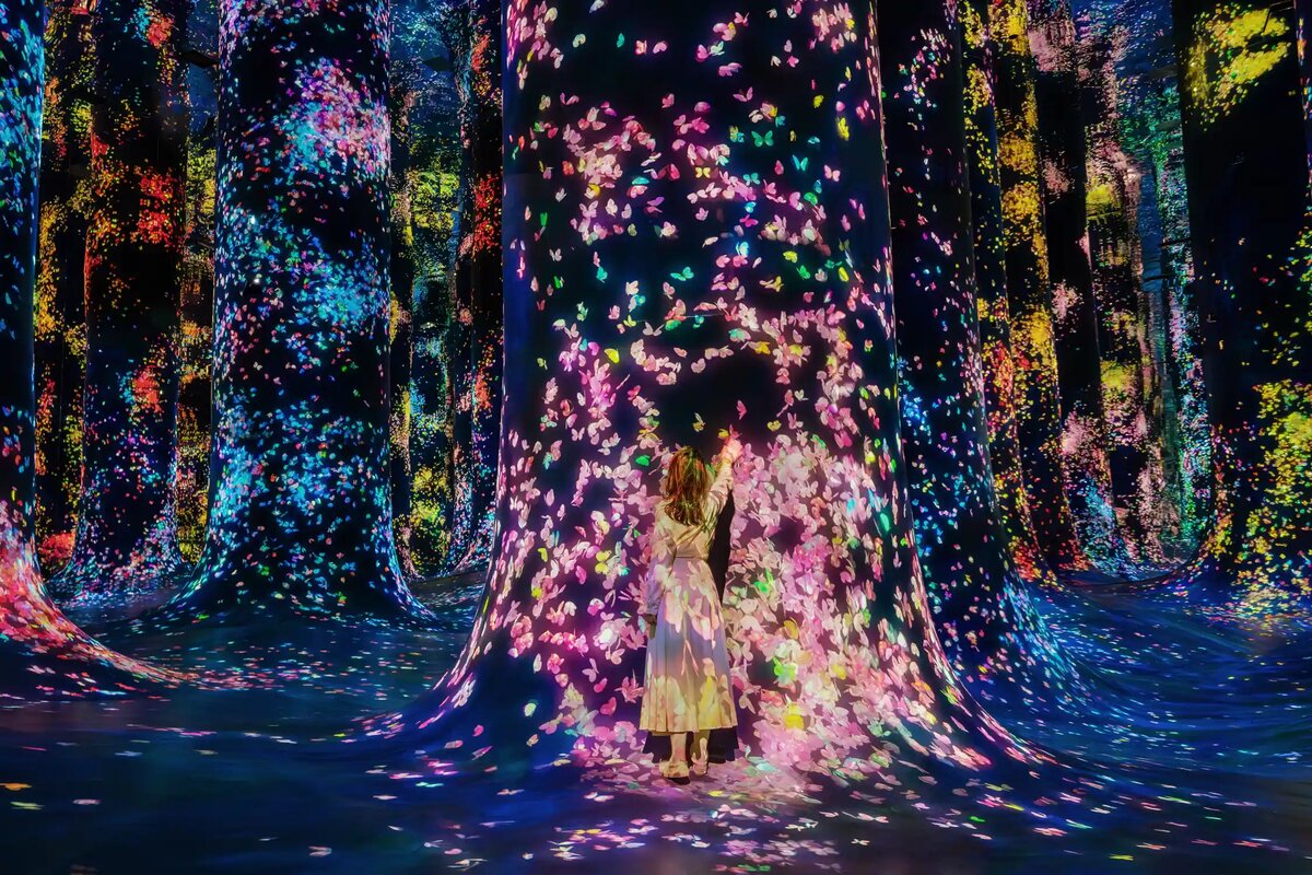 Что можно увидеть в музее в Абу-Даби - teamLab Phenomena