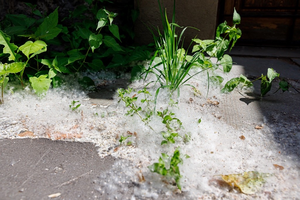    Фото © Дмитрий Дубинский / Абзац