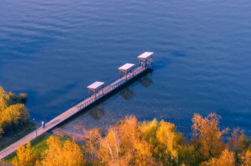 Усадьба Шахматово. Источник: https://tripse.ru/