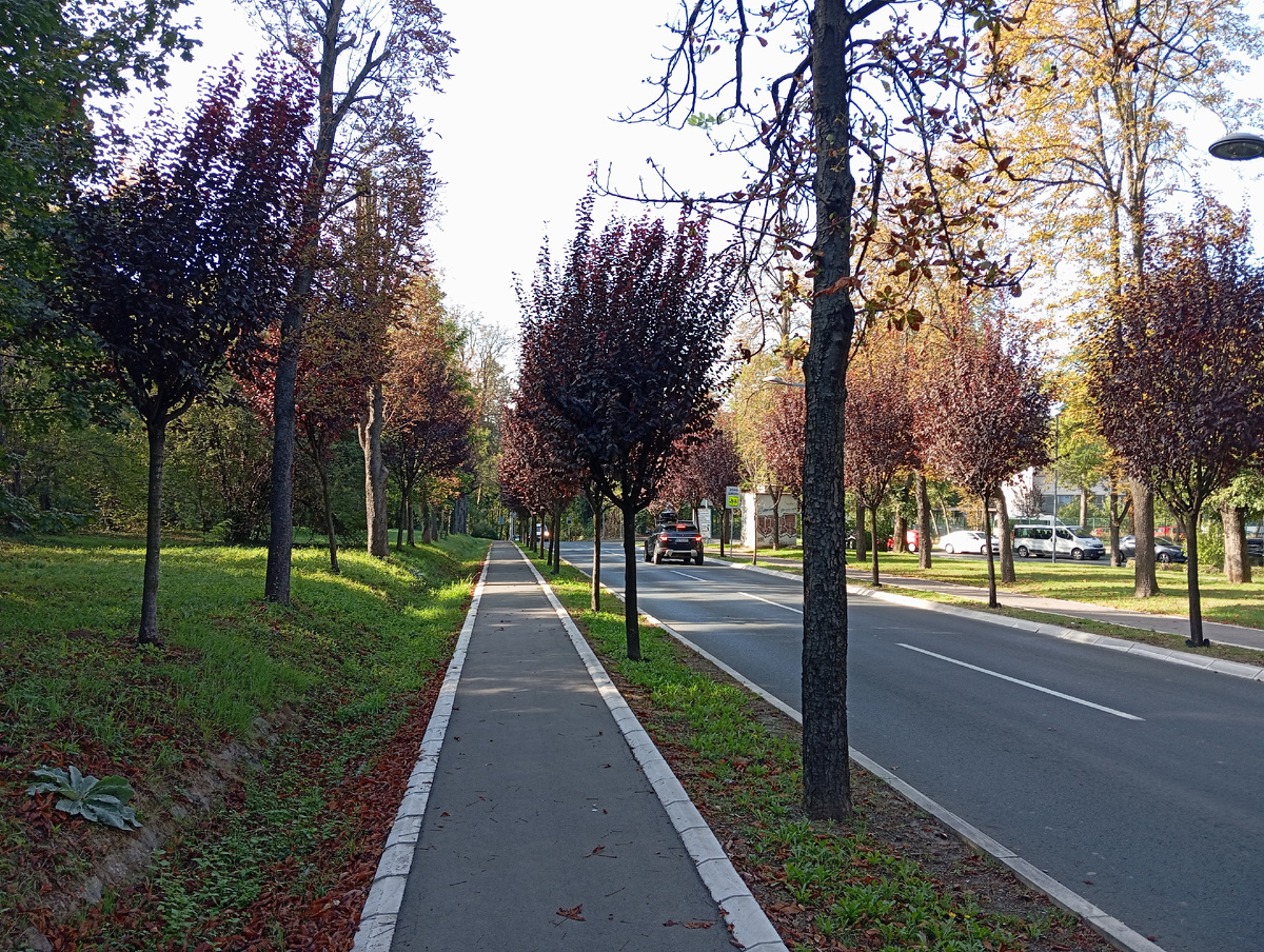 Бульвар Войводы Путника