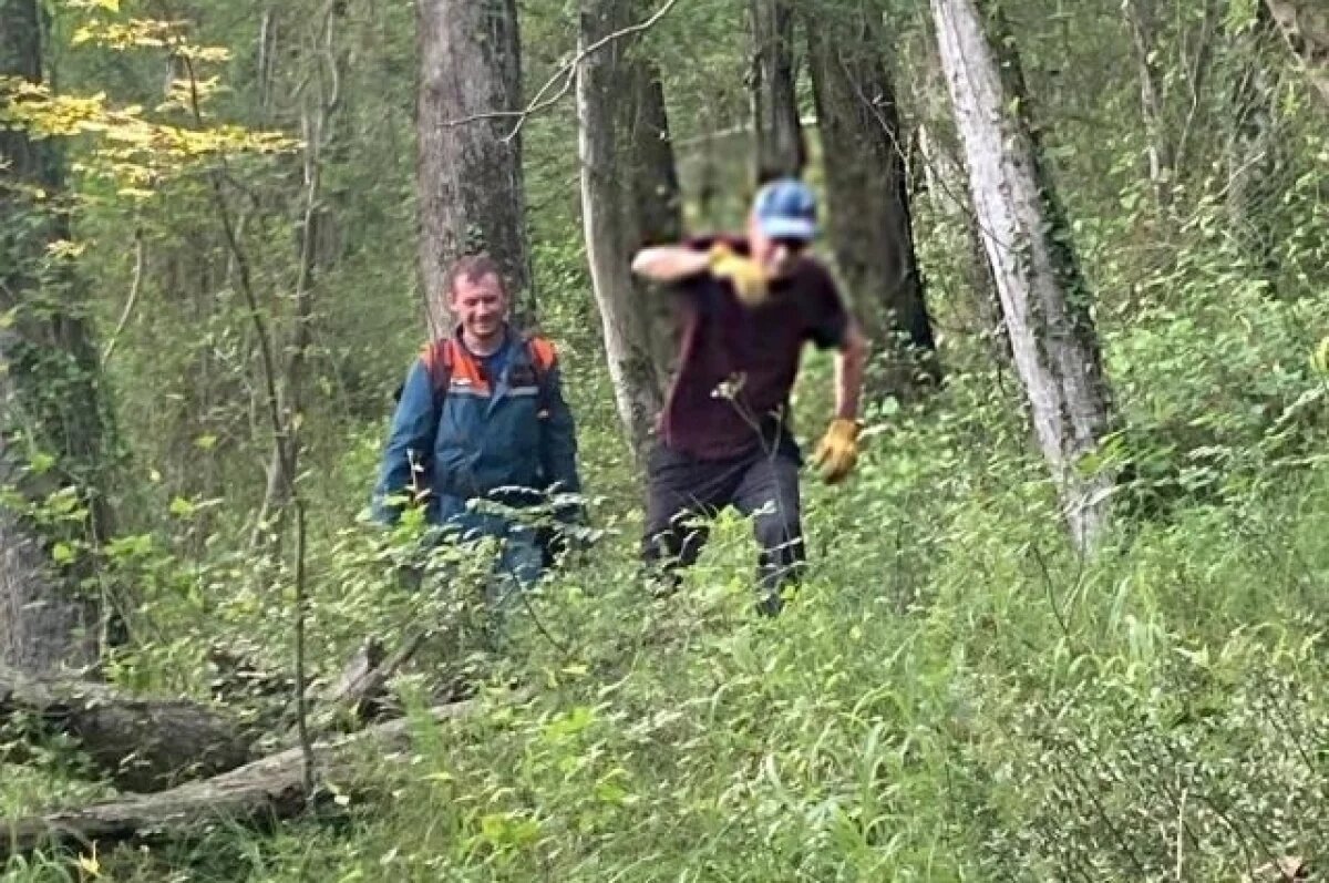    В Сочи турист из Московской области заблудился в лесу во время прогулки