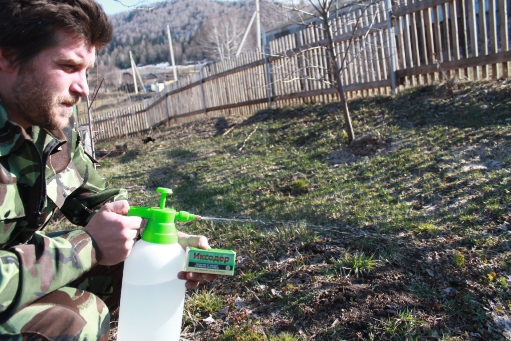  Обработка участка на даче