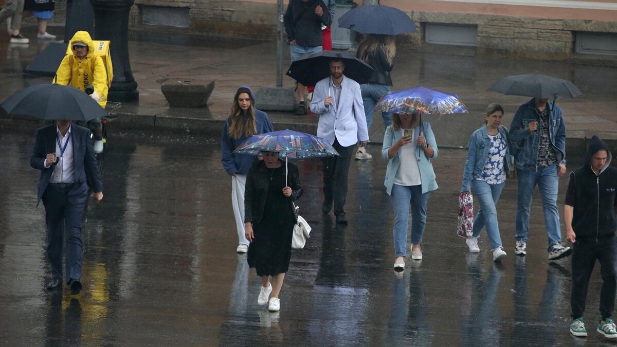    Фото: Maksim Konstantinov/globallookpress.com