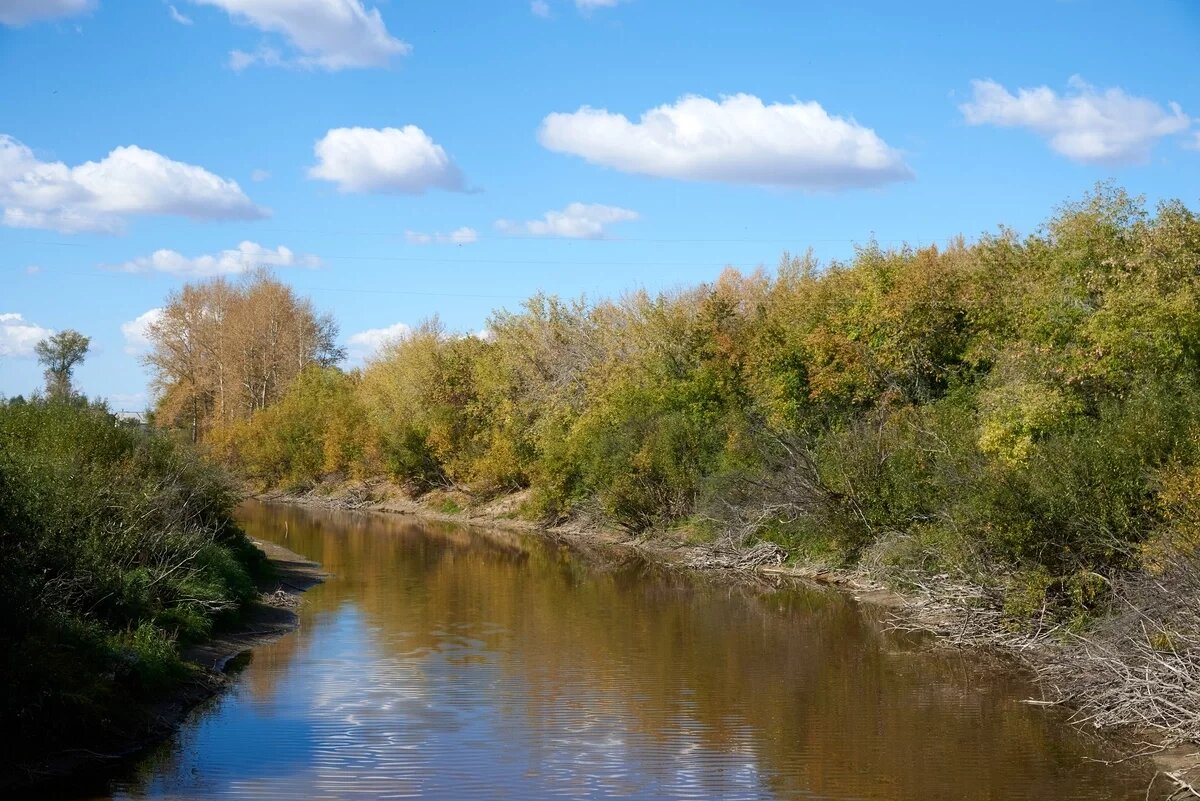    Необычный улов в Новосибирской области: 25-сантиметровый рак