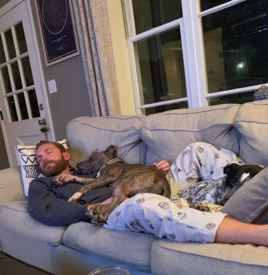 Чем различаются собаки в семьях и у одиноких людей