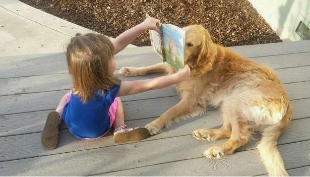 Фото с сайта Pinterest