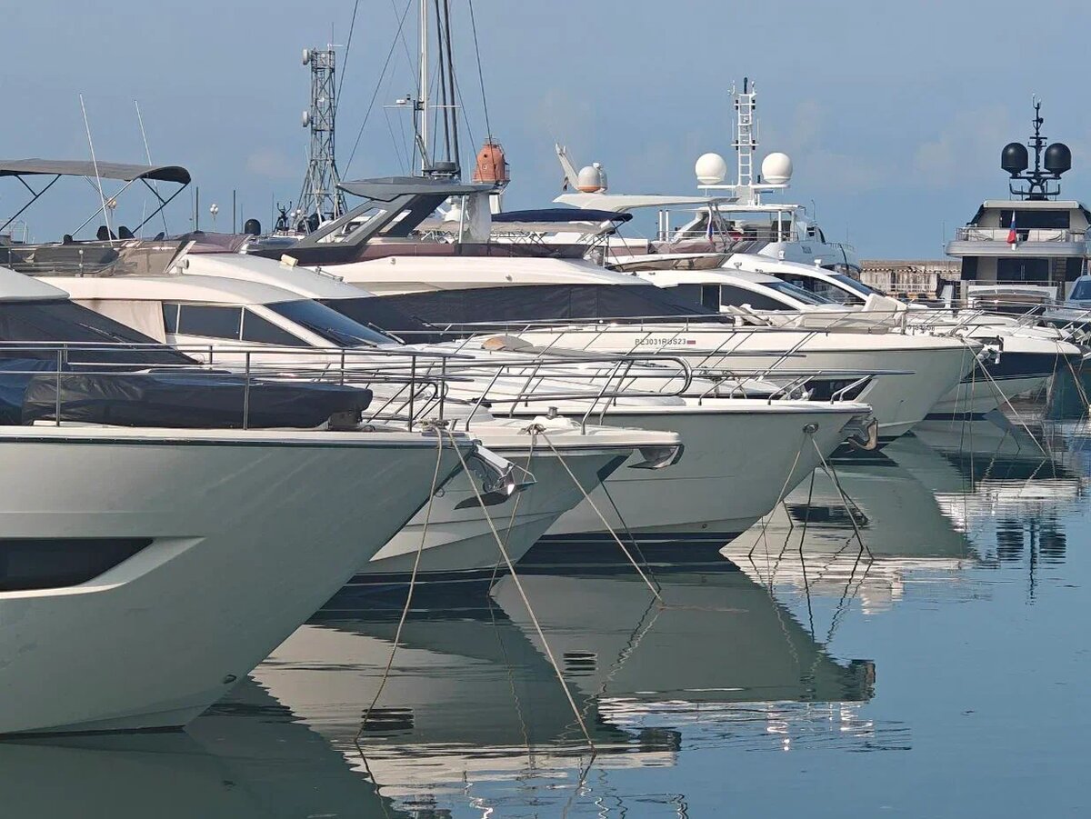    Фото: Юрий Серебренников/BFM Кубань