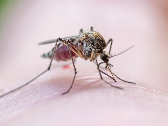    Фото: 123RF/klyakhin