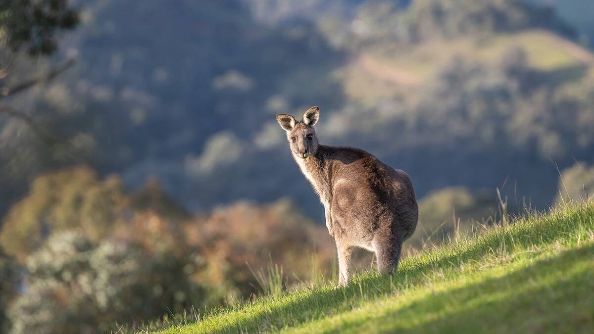    Фото: Shutterstock