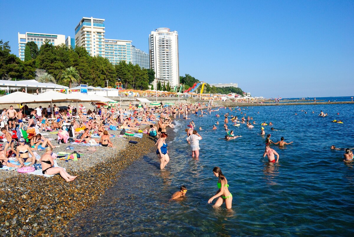    фото: Shutterstock/Fotodom.ru