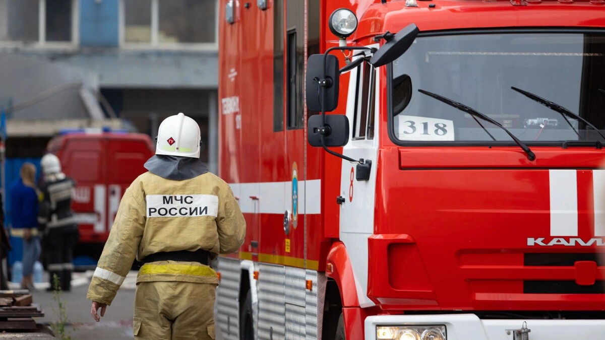    Фото: Al.geba/Shutterstock/Fotodom