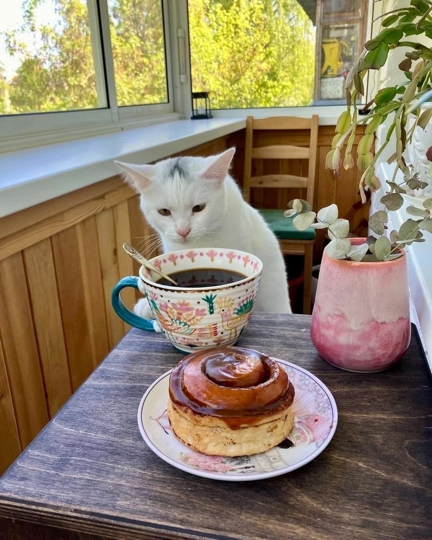 иллюстрация из яндекс картинки.