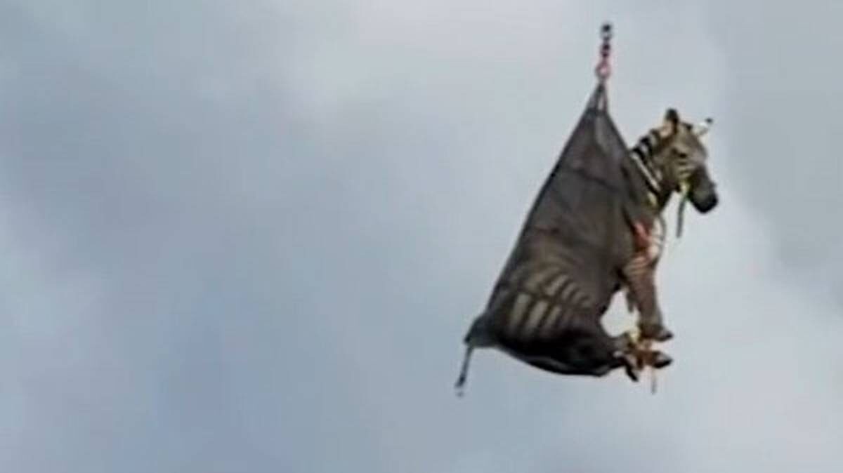    Фото: The Associated Press