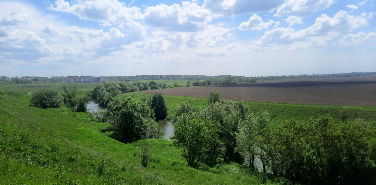 Вид на реку Осётр, Зарайский район. Фото автора.