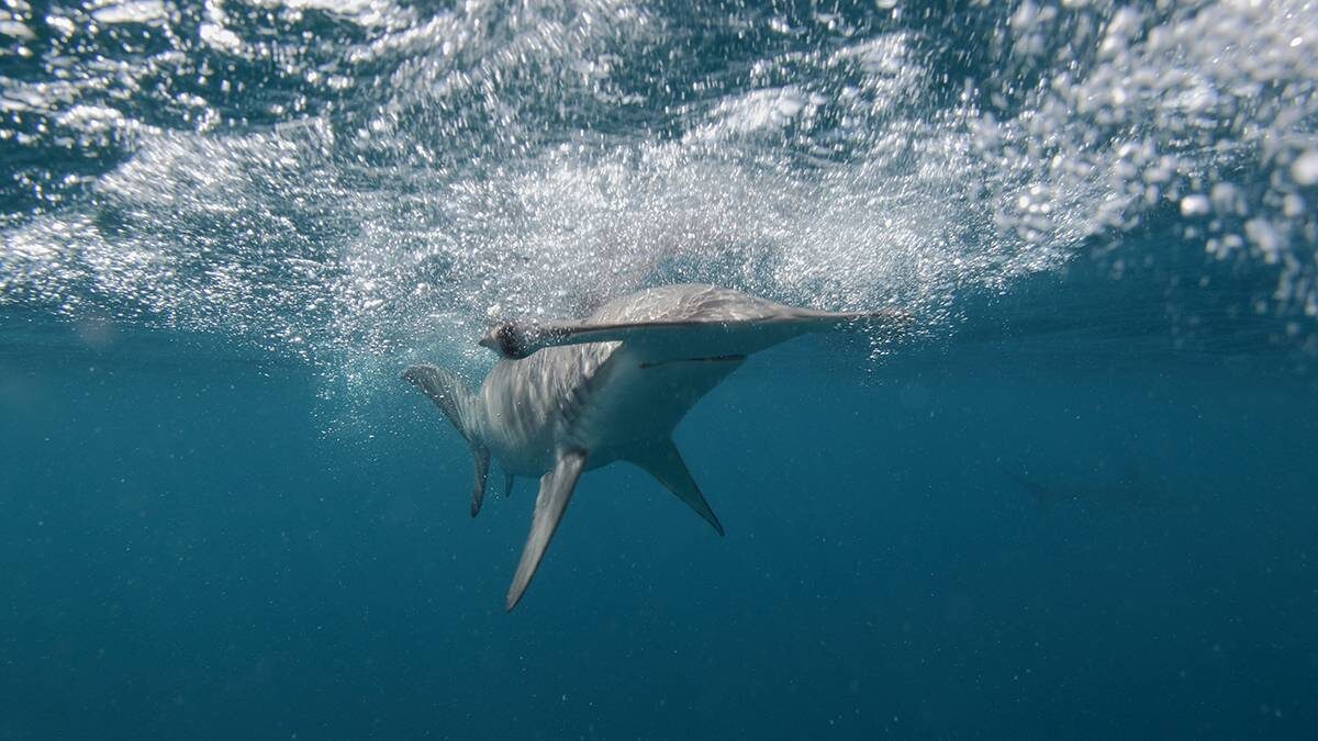    Фото: Shutterstock