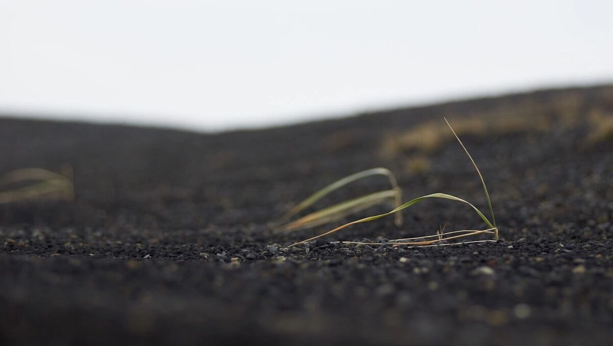     Автор: Unsplash