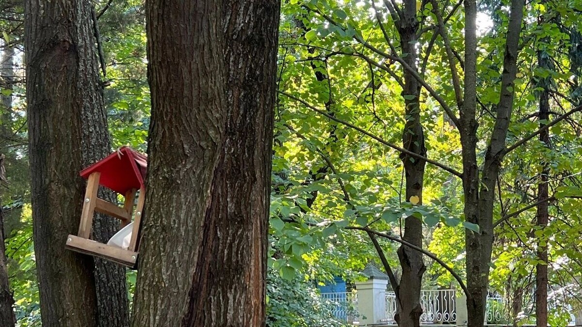     Источник: rostovgazeta.ru