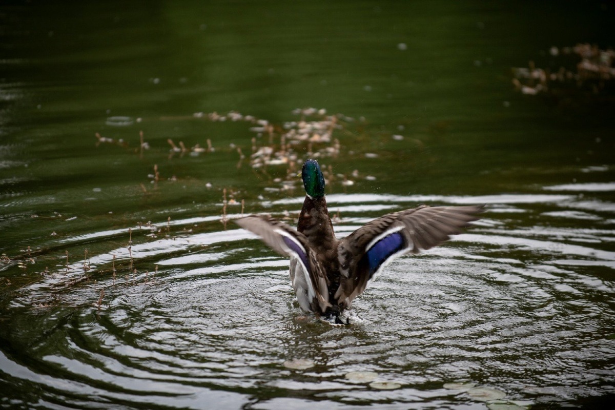 Фото: Юлия Федотова