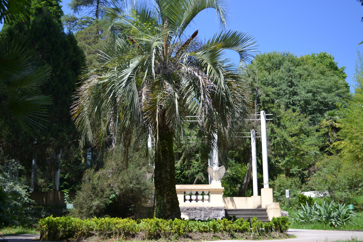 Листайте галерею