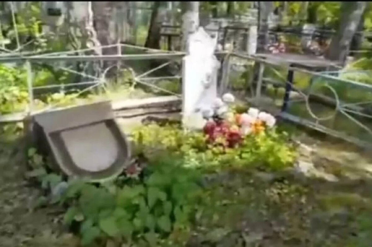    Вандалы разрушили могилы на деревенском кладбище под Новосибирском