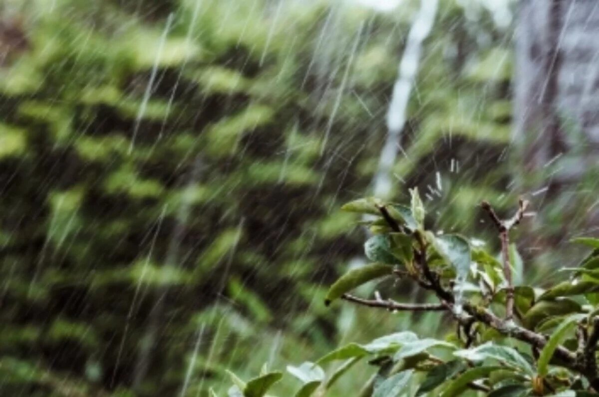    За выходные в Твери выпала половины месячной нормы осадков