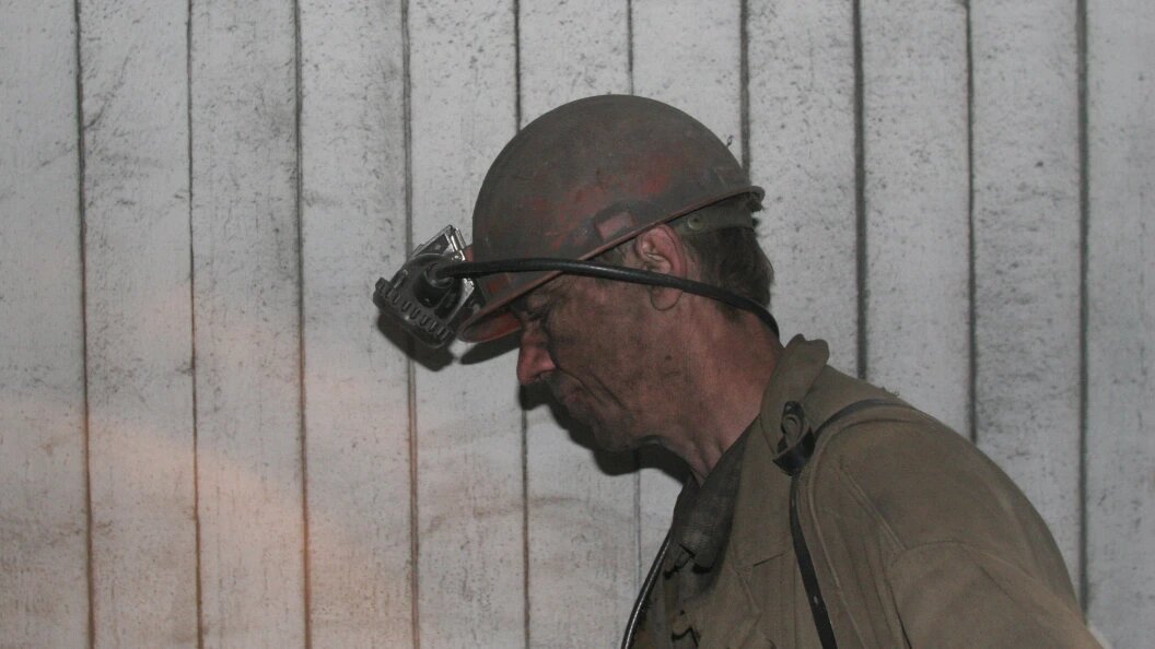    Фото: Robert King /Globallookpress