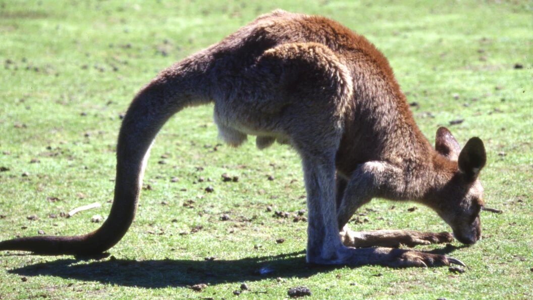    Andrei Kamenev/Russian Look/Globallookpress