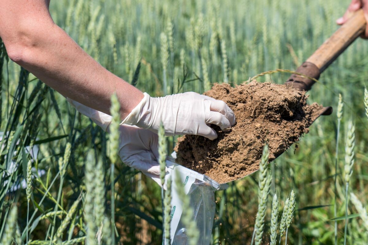 Фото: Александр Плонский / «ВиЖ»