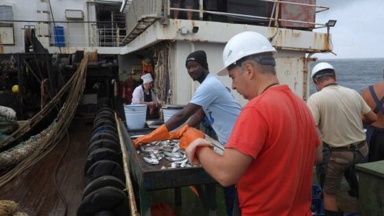     Фото: Росрыболовство