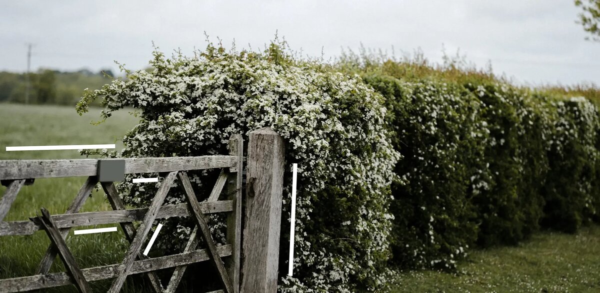 Источник: Авторский материал пользователя платформы. Источник фото: Unsplash  (https://unsplash.com/)