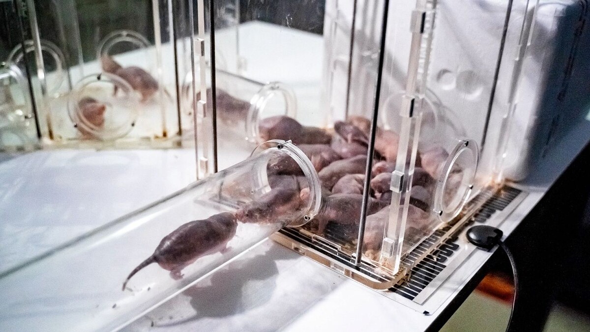    Фото: пресс-службы ФТ «Сириус»