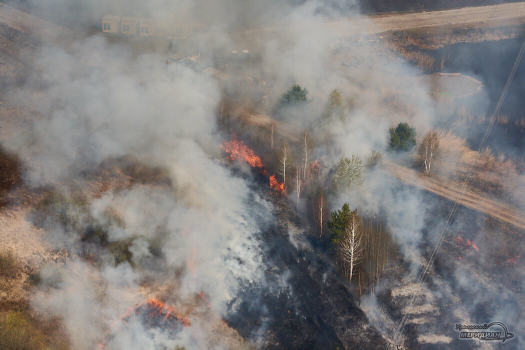    Фото: Лидия Аникина © ИА «Уральский меридиан»