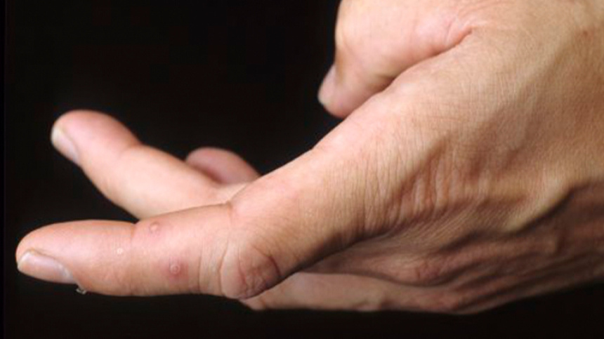    Фото: www.globallookpress.com